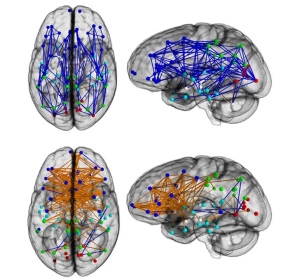Conexiones-neuronales-humanas